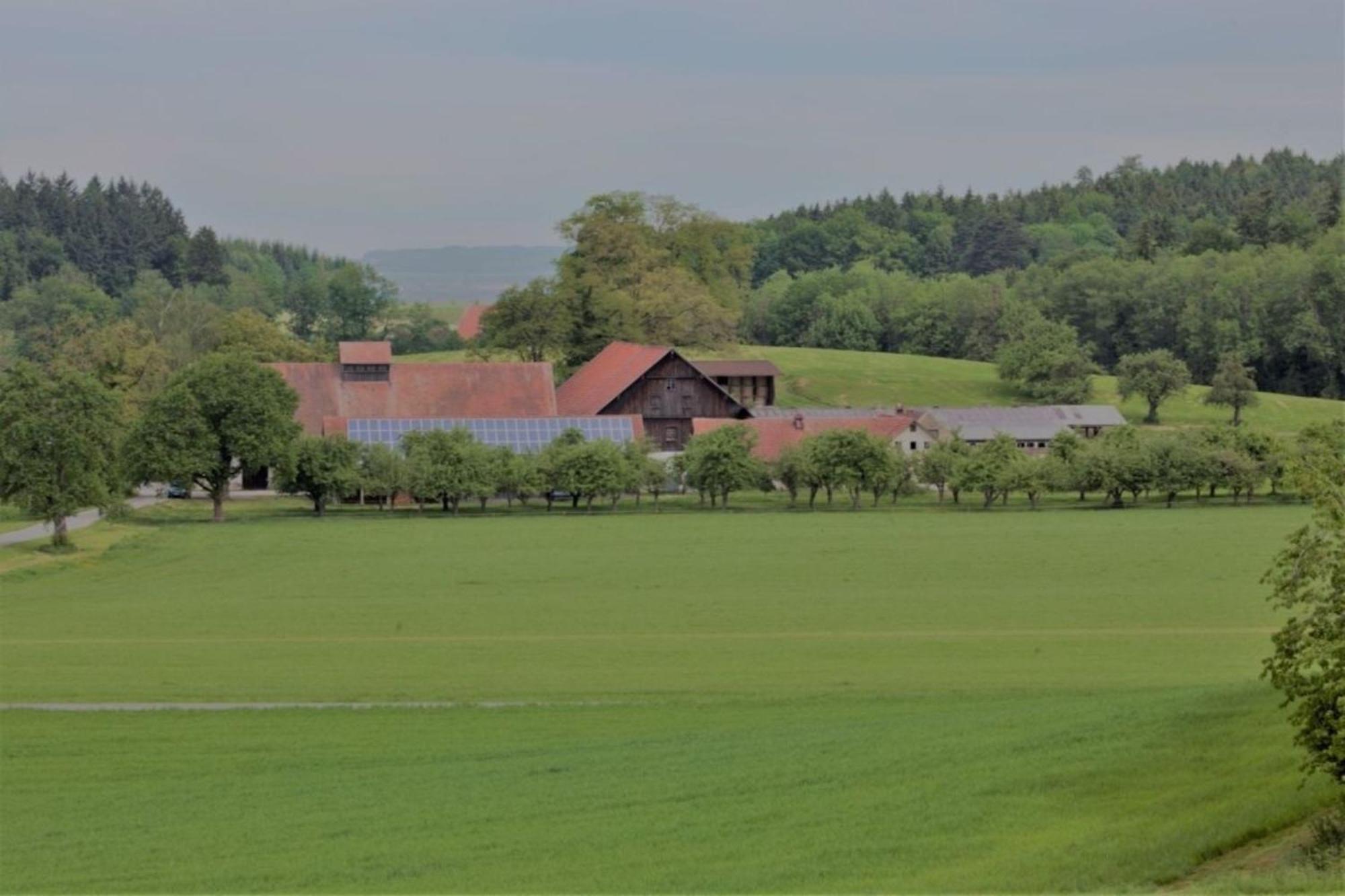 Roesslerhof Ferienwohnung Roesslerweiher Schlier Extérieur photo