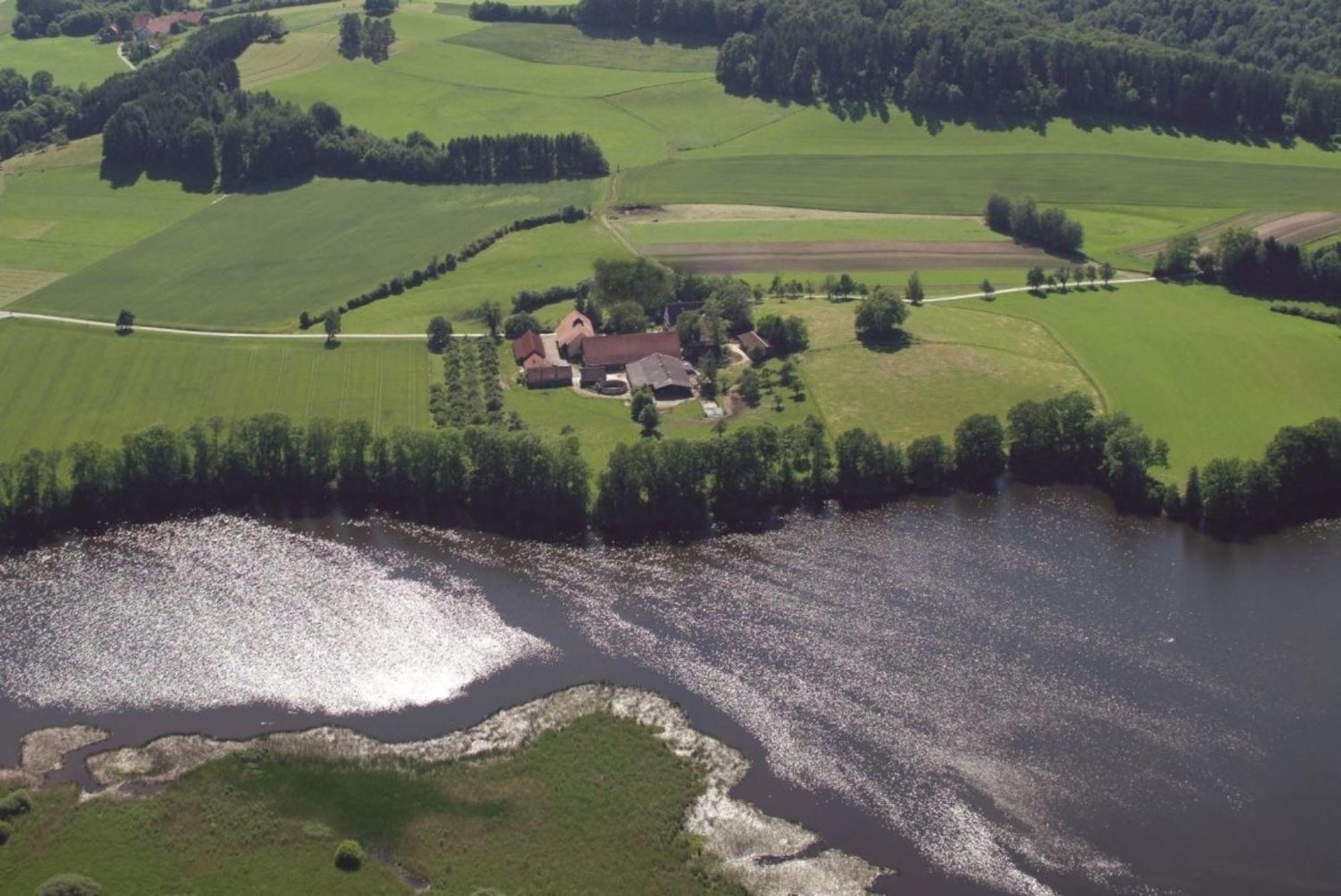 Roesslerhof Ferienwohnung Roesslerweiher Schlier Extérieur photo